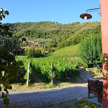 Agriturismo Le Murelle Лукка Экстерьер фото
