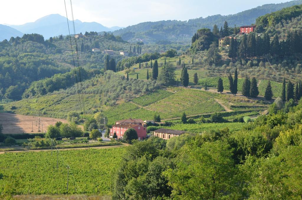 Agriturismo Le Murelle Лукка Экстерьер фото