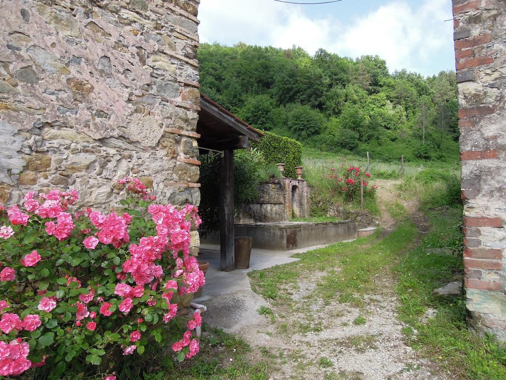 Agriturismo Le Murelle Лукка Экстерьер фото