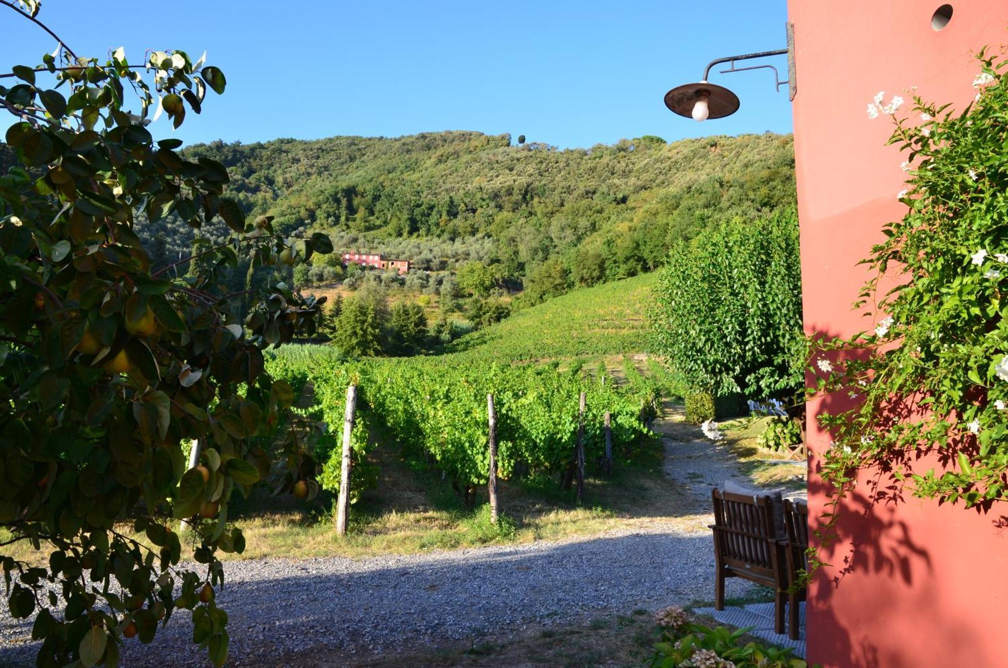 Agriturismo Le Murelle Лукка Экстерьер фото